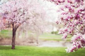 Erste Gartenarbeit im Frühjahr