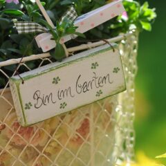 Gartenarbeiten im Sommer: Tipps und Tricks für Hobbygärtner