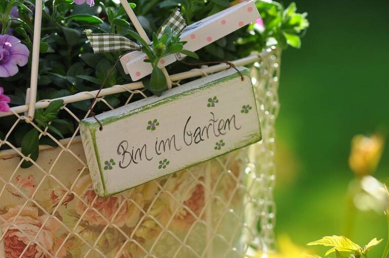 Gartenarbeiten im Sommer: Tipps und Tricks für Hobbygärtner