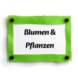 Blumen & Pflanzen